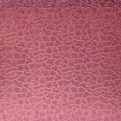 WISSMACH 135 Figure C begonia purple